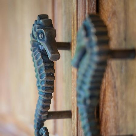Kuda Laut Bungalows & Diving Pemuteran Екстериор снимка
